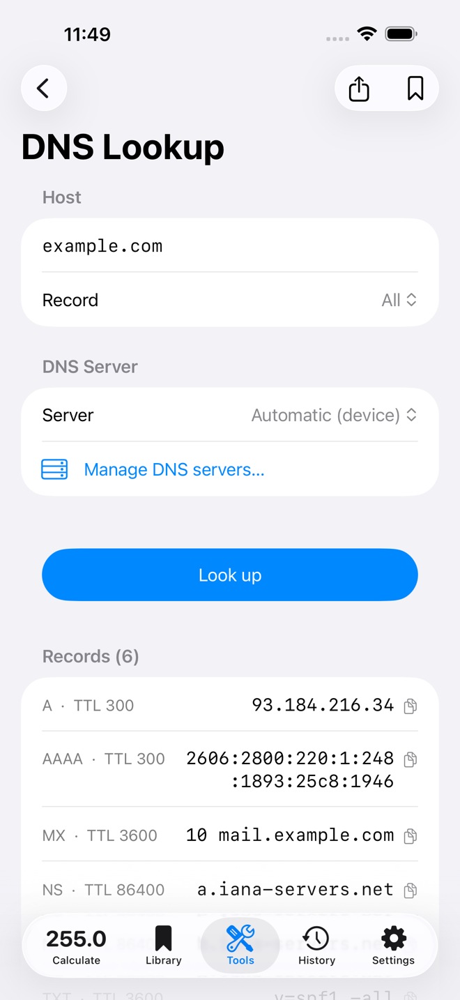 Subnet Plus DNS lookup