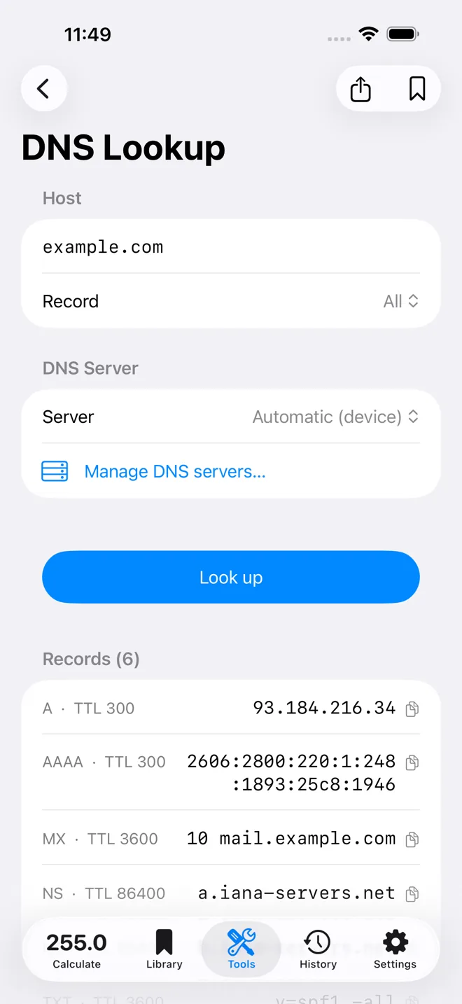 Consulta DNS de Subnet Plus